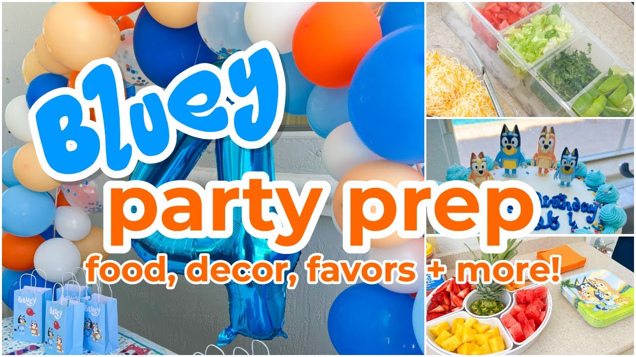 Bluey & Bingo Inspired DIY Party Decor 💙Finn's Bluey-Themed Birthday Party  + 1 Year Update 🎉 